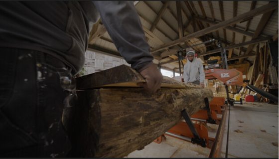 Two people lifting a plank of wood from a tree in a wood shop.